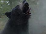 Cocaine Bear: Neuer Trailer zur blutigen schwarzen Komödie